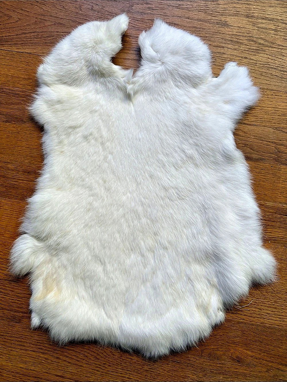 B0331 premium rabbit fur pelt craft supply new